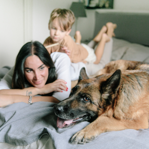 การดูแลสุขภาพสัตว์เลี้ยงในช่วงอายุที่แตกต่างกัน : จากลูกสุนัข/ลูกแมวจนถึงสัตว์แก่
