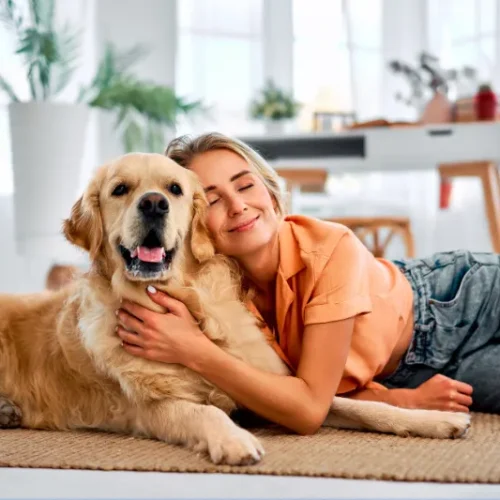 วิธีดูแลสัตว์เลี้ยงในช่วงหน้าร้อน — ป้องกันฮีทสโตรกและขาดน้ำ