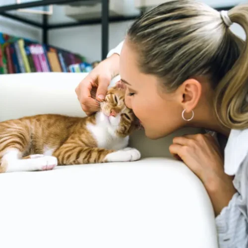 วิธีทำความสะอาดและดูแลบ้านเมื่อมีสัตว์เลี้ยง